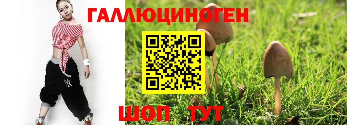 Избербаш  Галлюциногенные грибы MAGIC MUSHROOMS  Вход с VPN 